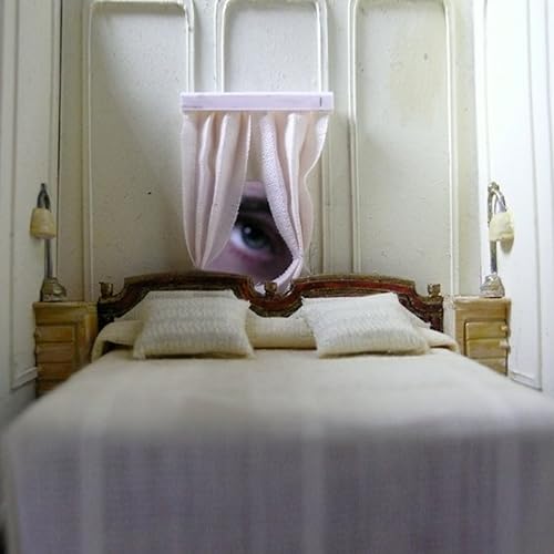 coconut records nighttiming album coconut records nighttiming album